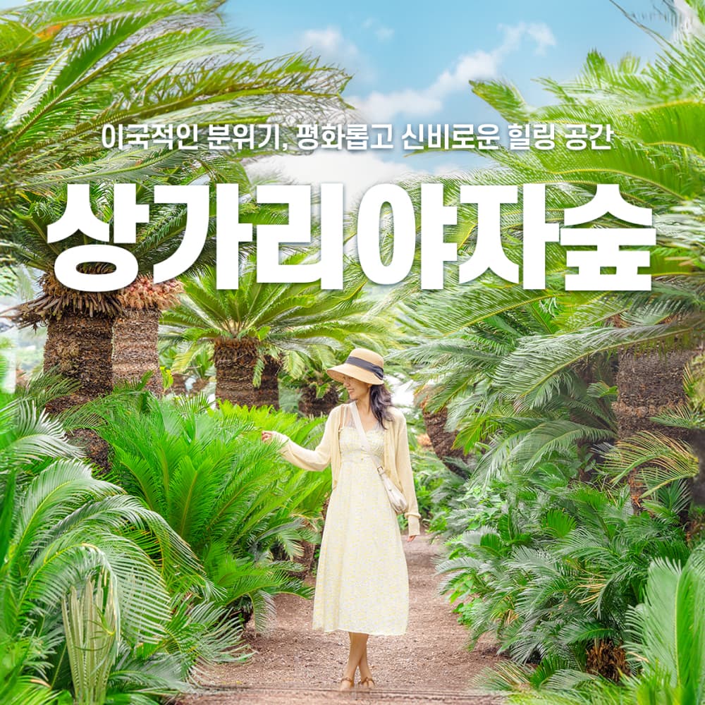 상가리야자숲 [제주] 상가리야자숲 입장권